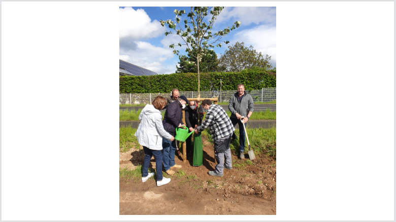 CDU-Rheinbach pflanzt Baum in Ramershoven