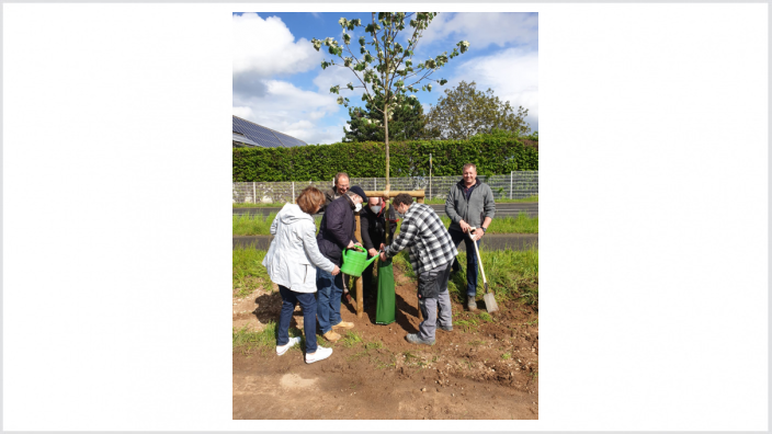 CDU-Rheinbach pflanzt Baum in Ramershoven
